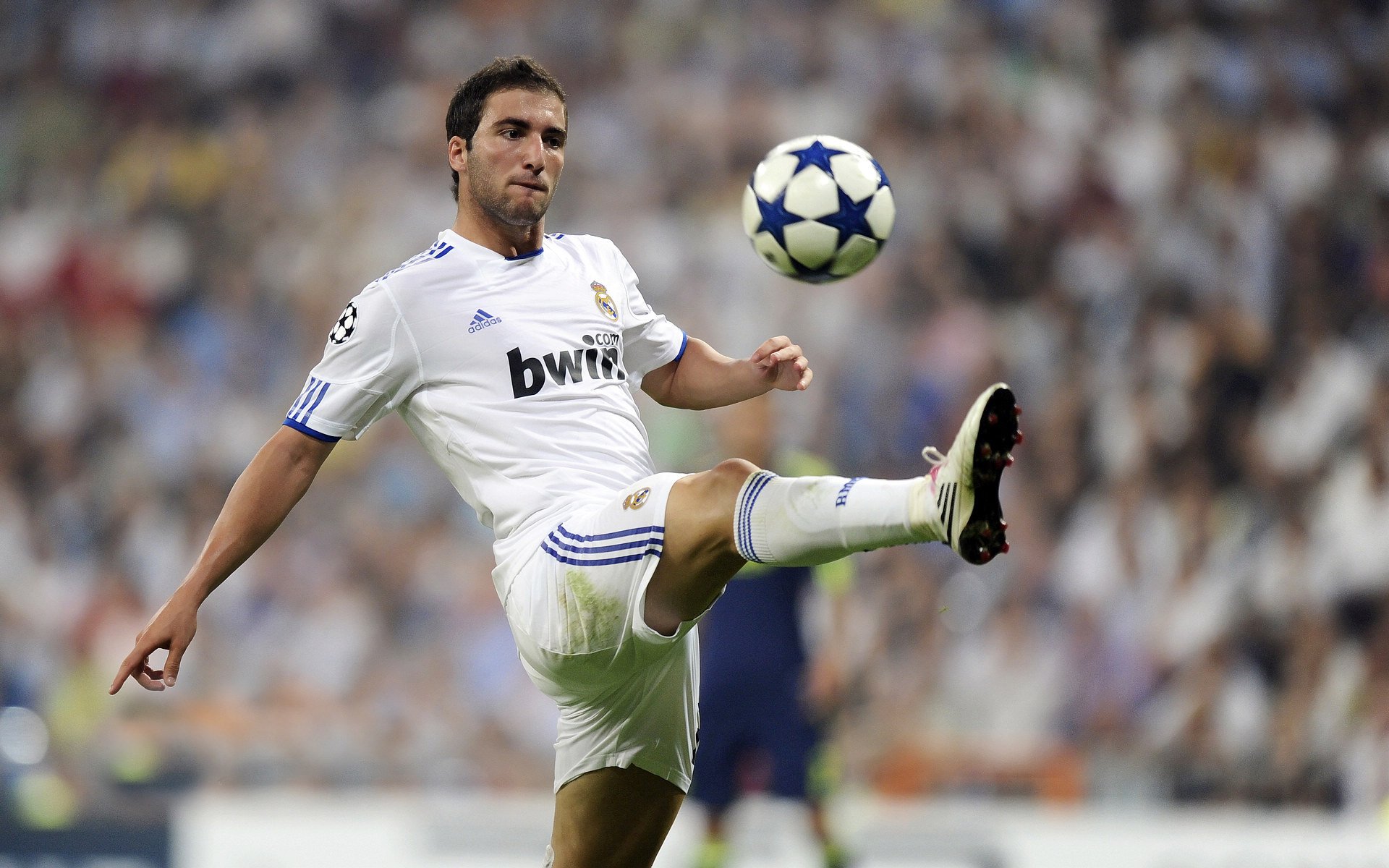 欧预赛中法国表现抢眼——受到球迷追捧，法国队欧预赛名单